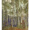 berkenbos